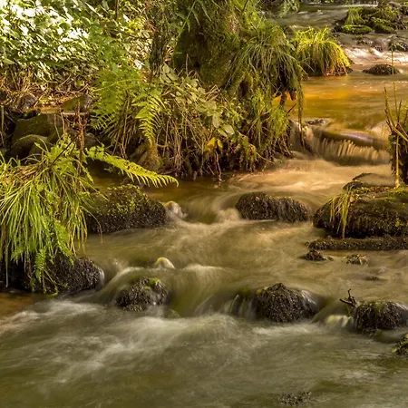 Rubis: Elegance Et Confort En Pleine Nature Le Clerjus