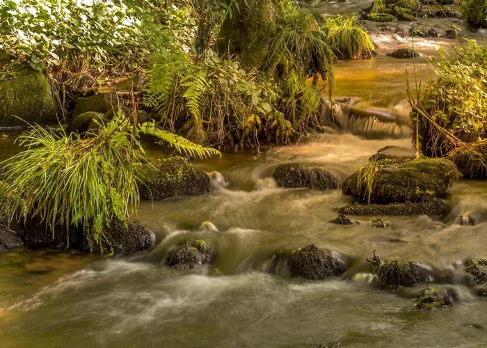 Rubis: Elegance Et Confort En Pleine Nature - Fr-1-589-723 Le Clerjus