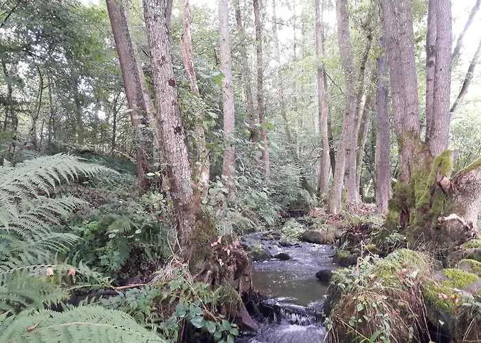 Rubis: Elegance Et Confort En Pleine Nature - Fr-1-589-723 Le Clerjus